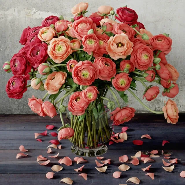 decoration – Ranunculus 3D Model