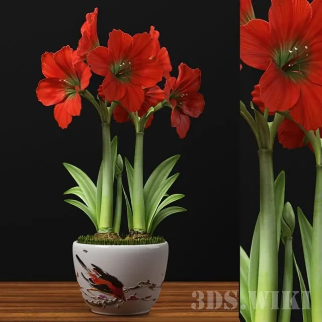decoration – RED AMARYLLIS 3D Model decoration – RED AMARYLLIS 3D Model