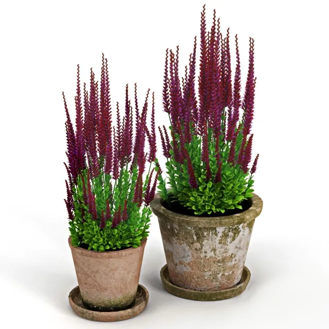 decoration – Red plant 3D Model