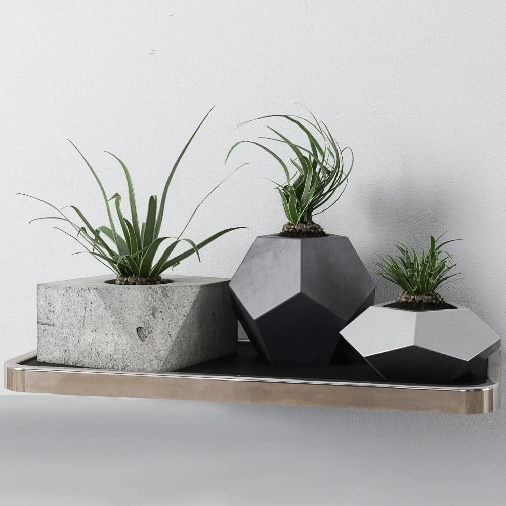 decoration – Redhome plants 3D Model