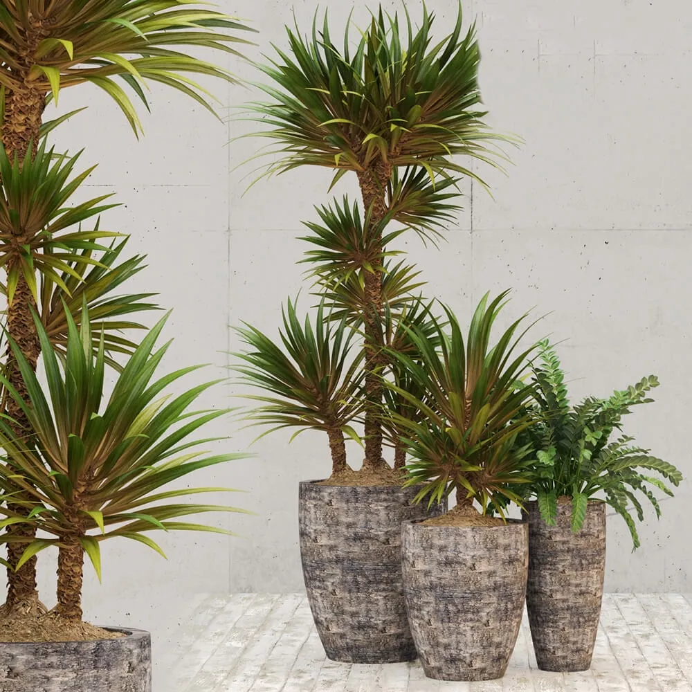 decoration – Restoration Hardware corso planter 3D Model