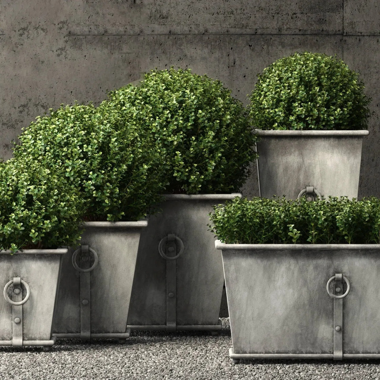 decoration – Restoration Hardware plants 02 3D Model