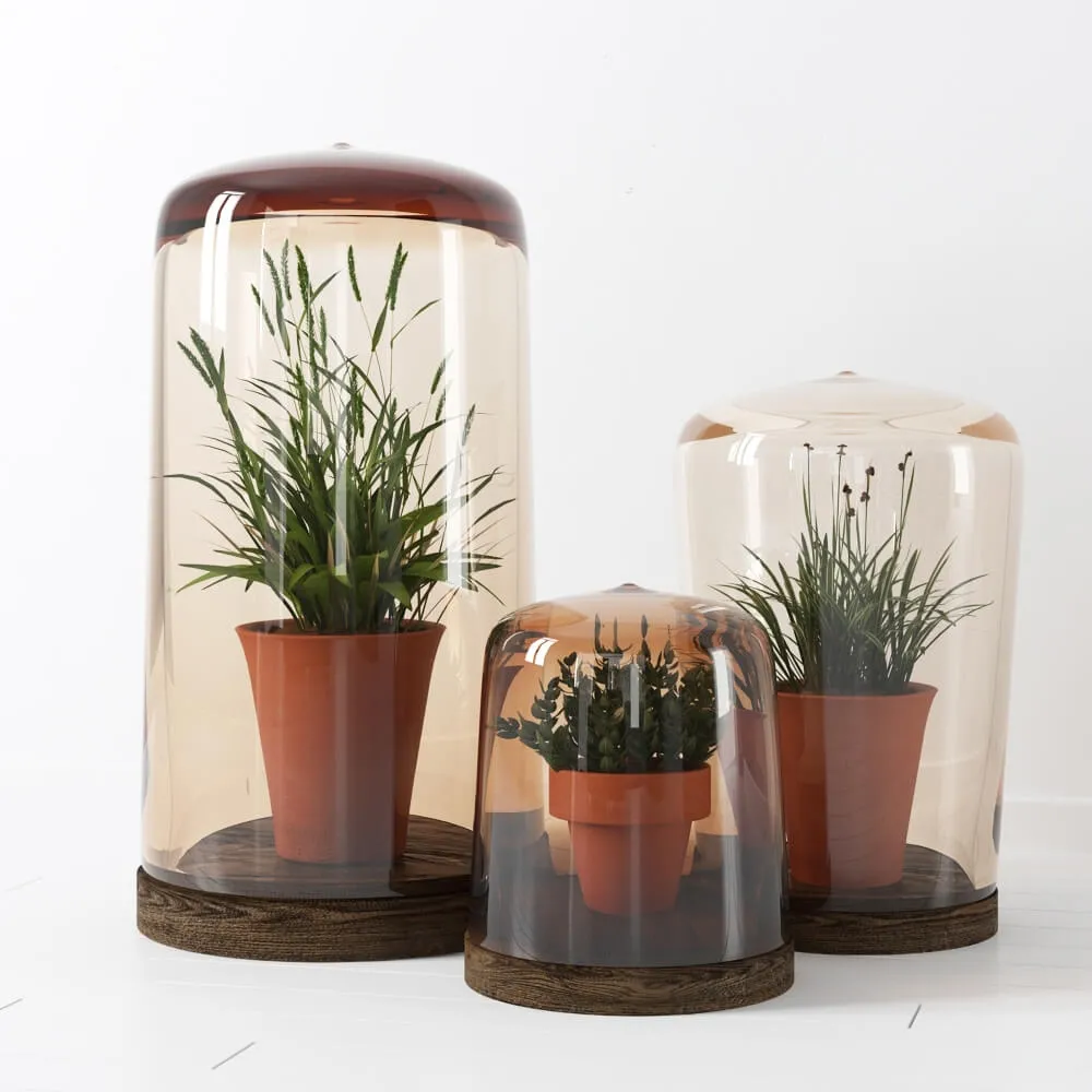 decoration – RH-flower plants 10 3D Model