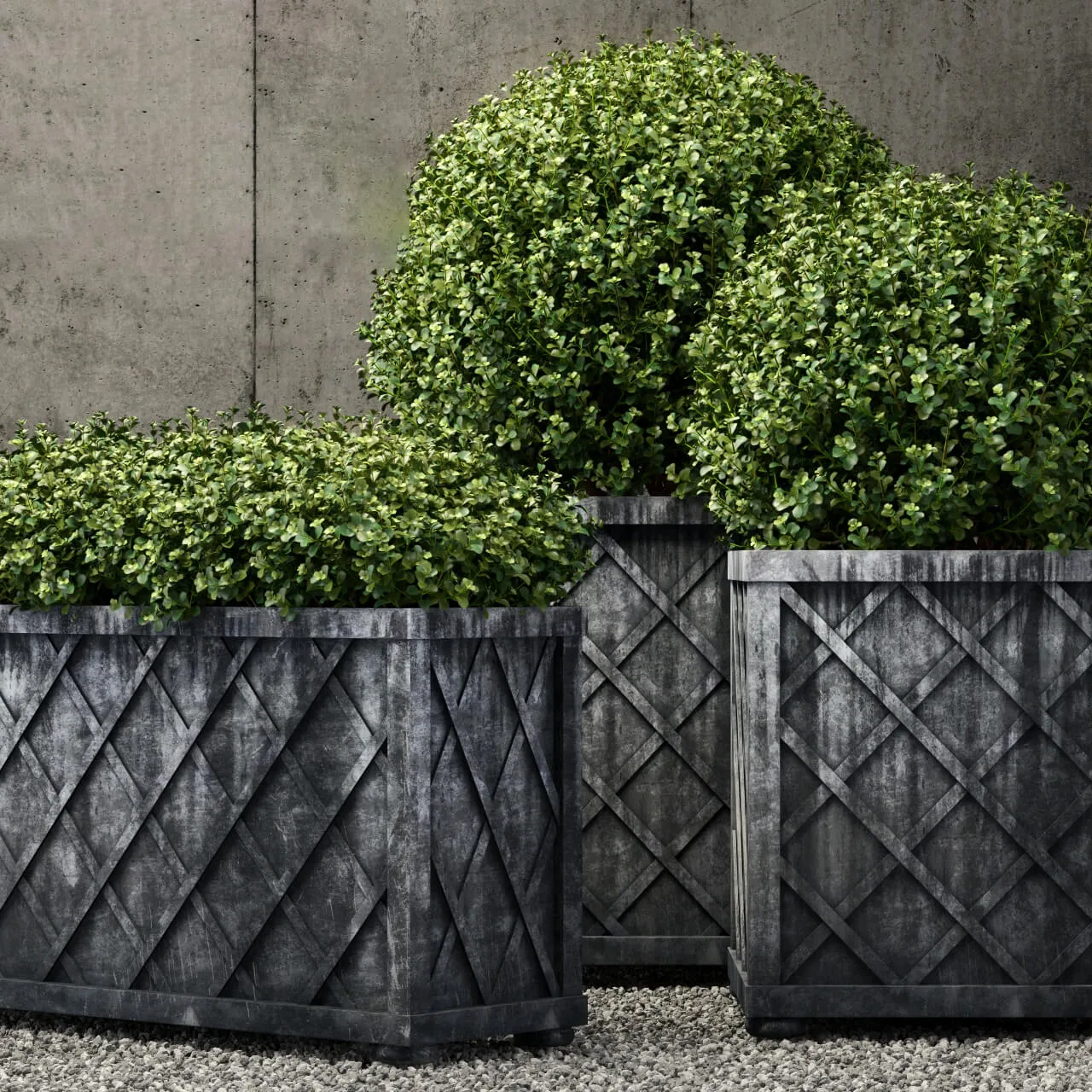 decoration – RH plants collection 46 3D Model