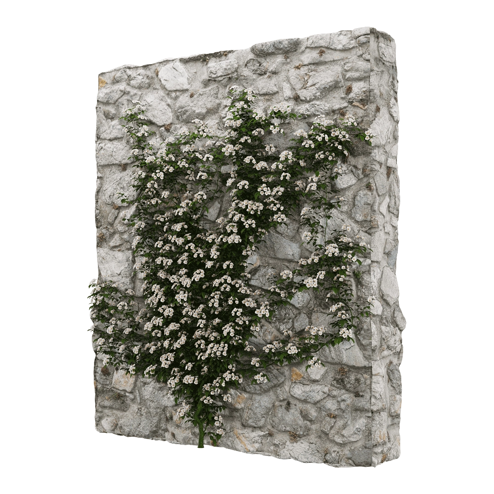 decoration – Rosa cymosa 4 3D Model