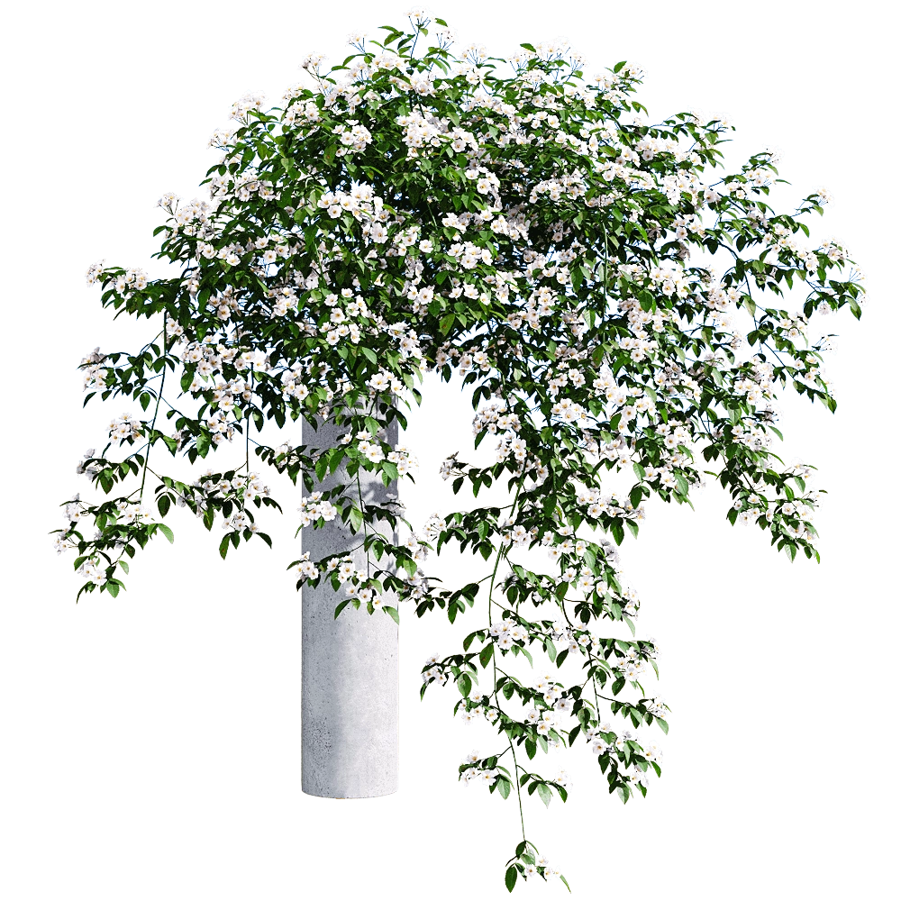 decoration – Rosa cymosa 5 3D Model decoration – Rosa cymosa 5 3D Model
