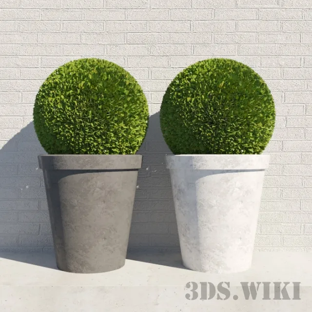 decoration – Round bushes in round pots 3D Model