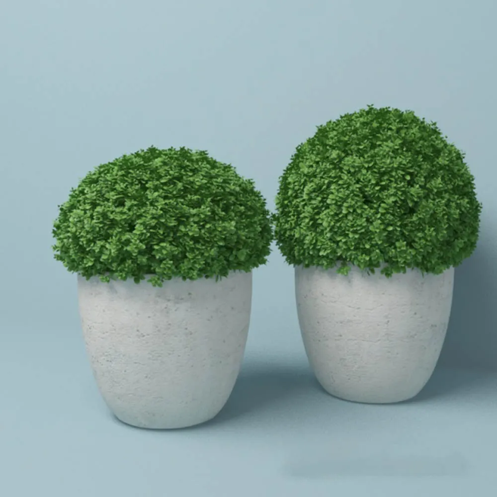 decoration – Round plant in pots 3D Model