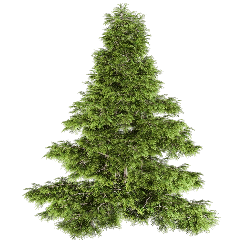 decoration – Sabina Chinensis 01 01 3D Model