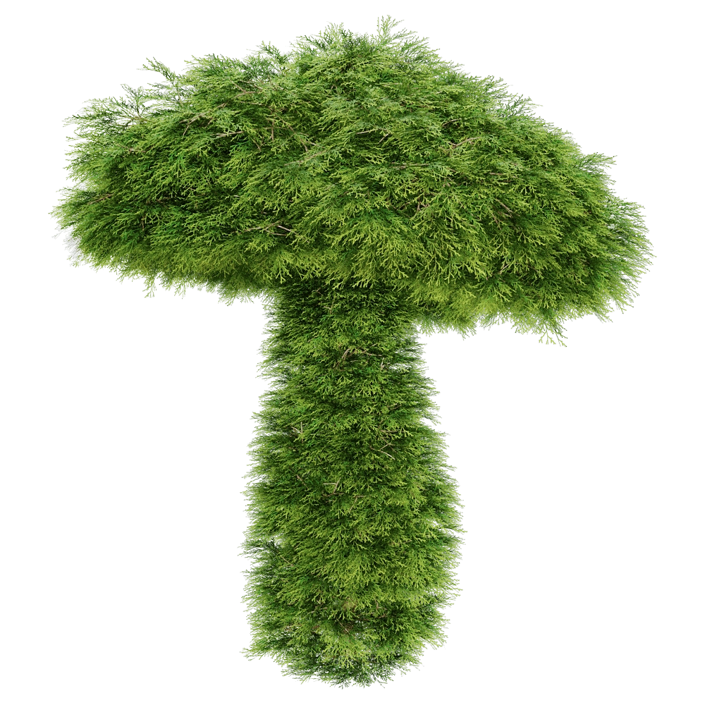 decoration – Sabina Chinensis 01 05 3D Model