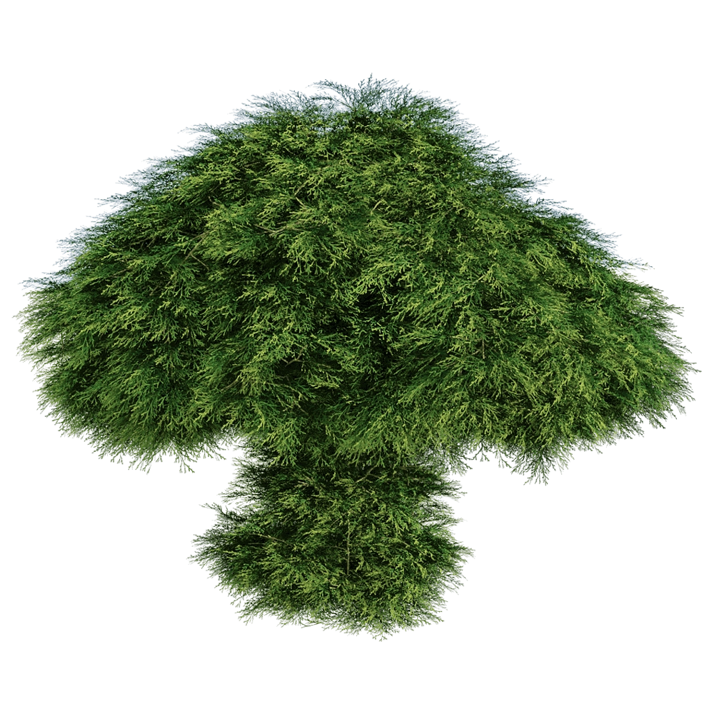 decoration – Sabina Chinensis 01 06 3D Model