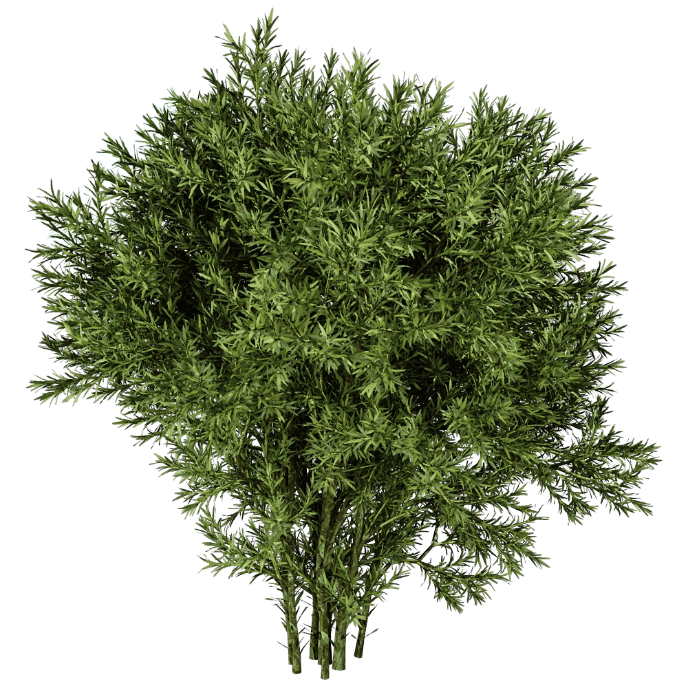 decoration – Sabina Pingii 01 02 3D Model