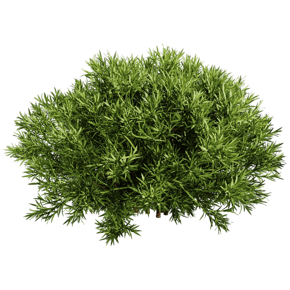 decoration – Sabina Pingii 01 06 3D Model