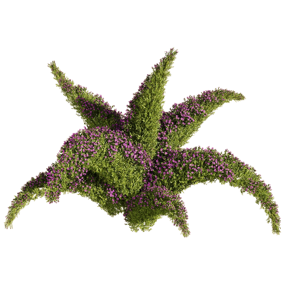 decoration – Sedum sarmentosum 2 3D Model decoration – Sedum sarmentosum 2 3D Model