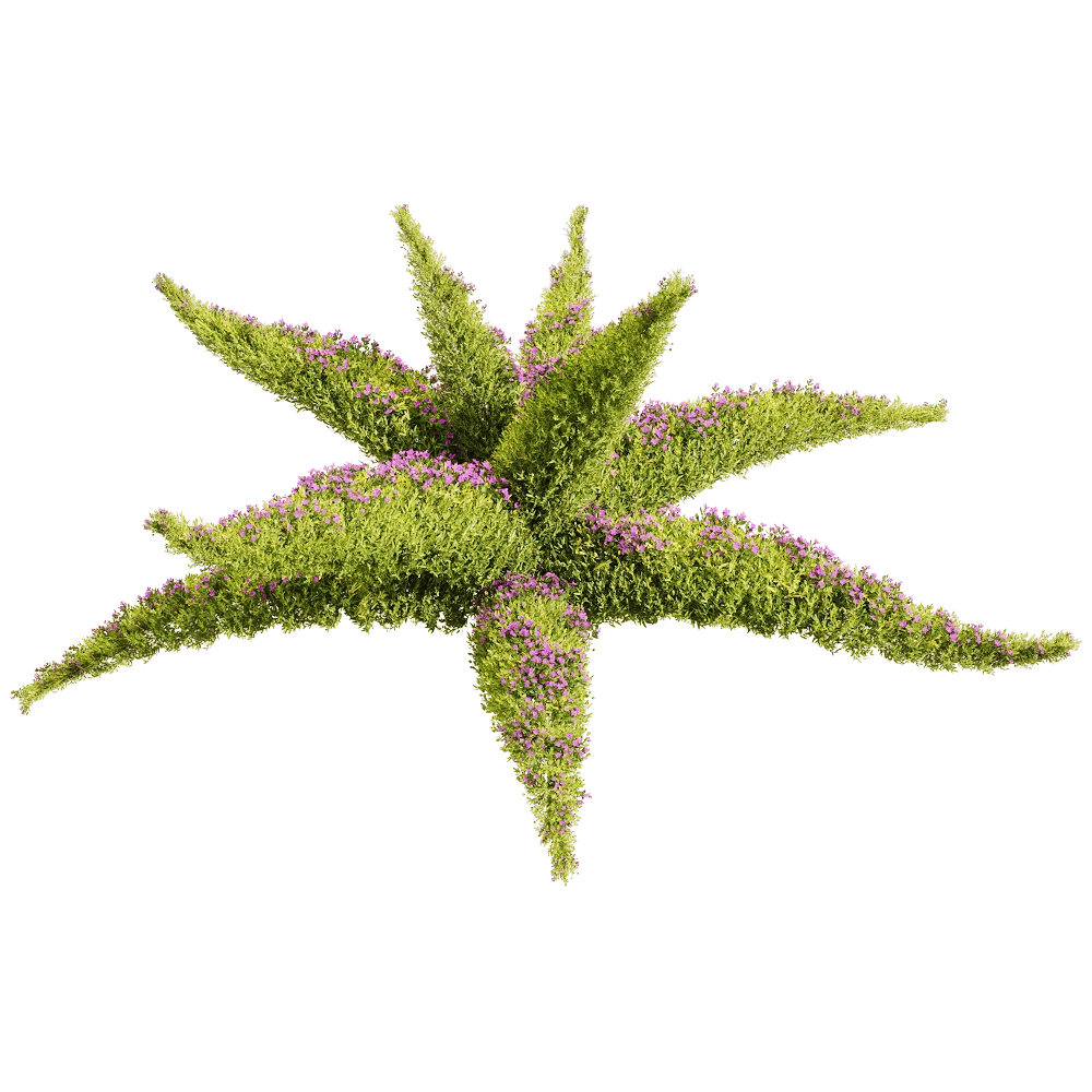 decoration – Sedum sarmentosum 3 3D Model decoration – Sedum sarmentosum 3 3D Model