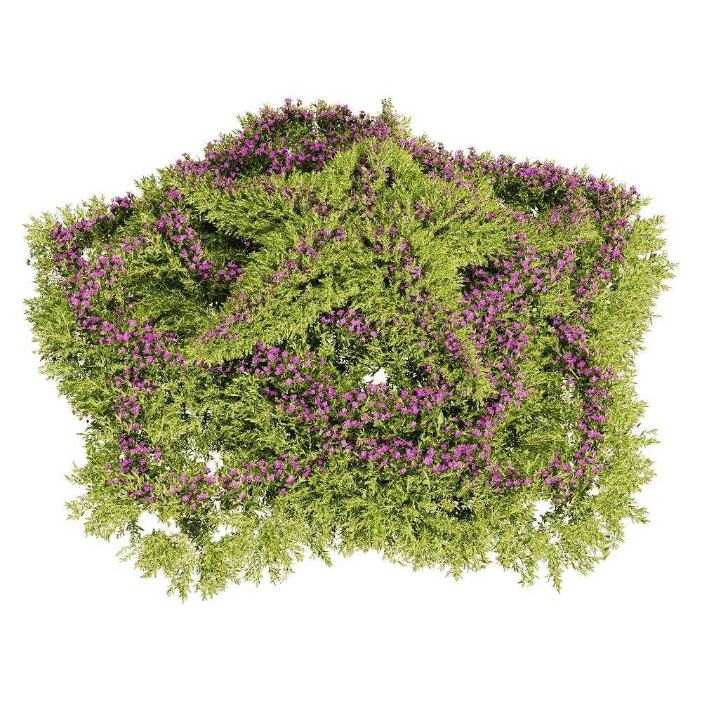 decoration – Sedum sarmentosum 5 3D Model decoration – Sedum sarmentosum 5 3D Model