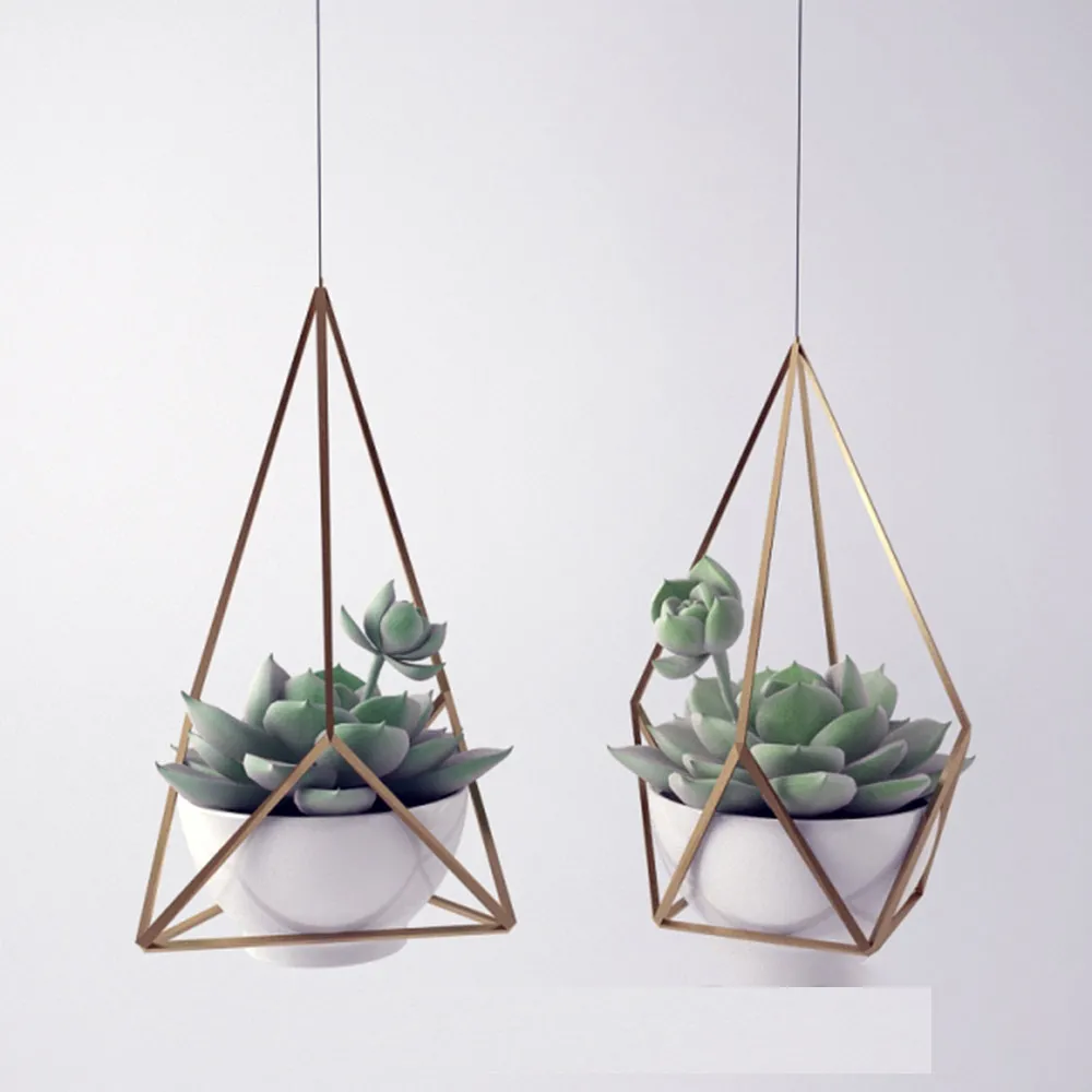 decoration – Sempervivum 3D Model