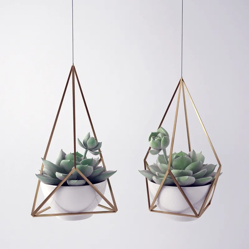 decoration – Sempervivum 3D Model