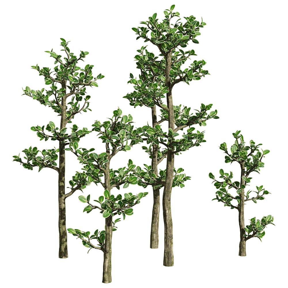 decoration – Serissa japonica 1 3D Model decoration – Serissa japonica 1 3D Model