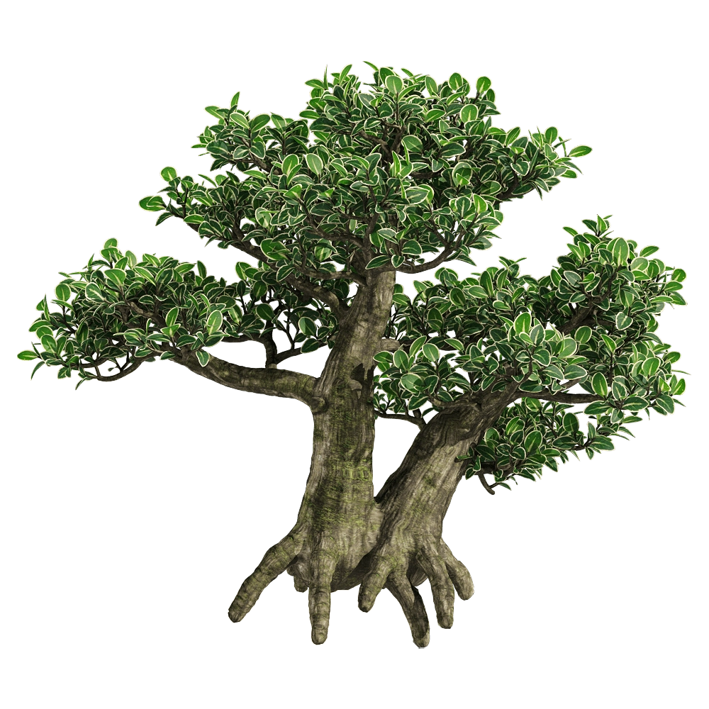 decoration – Serissa japonica 3 3D Model decoration – Serissa japonica 3 3D Model