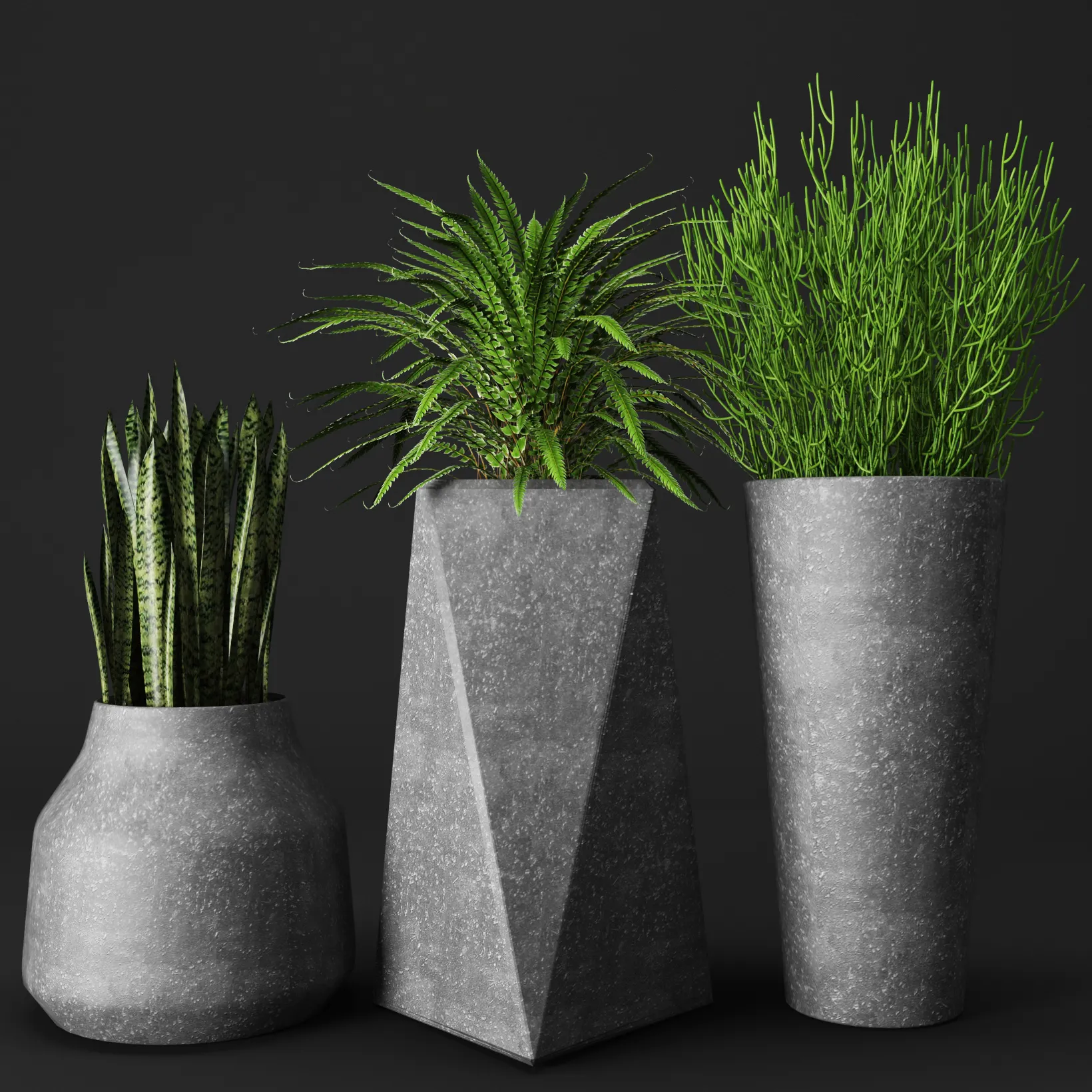 decoration – Set of concrete pots with plants 04 3D Model