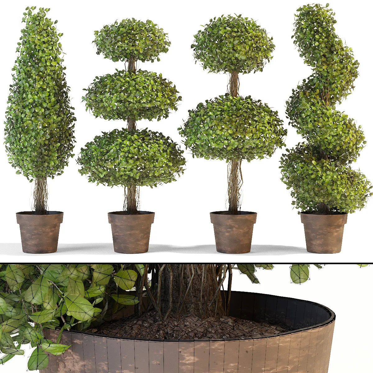 decoration – Set of decorative trees 05 3D Model
