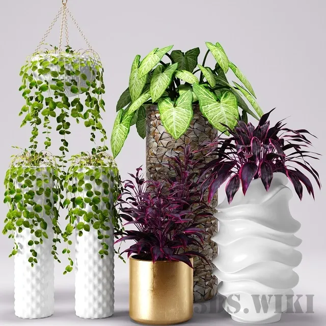 decoration – Set of different plants and vases 3D Model