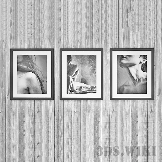 decoration – Set of photorealistic pictures 3D Model