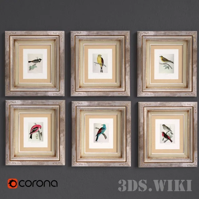 decoration – Set of pictures – birds 3D Model