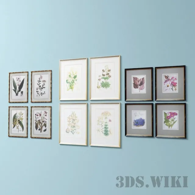 decoration – Set of pictures of flowers and frames 3D Model
