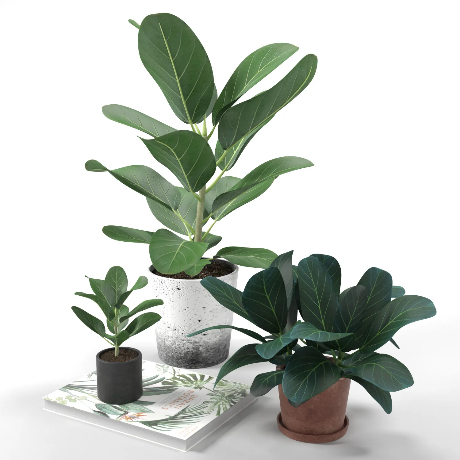 decoration – Set of plants 05 3D Model