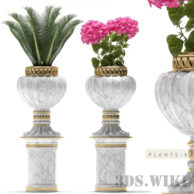 decoration – Set of plants in vases 3D Model