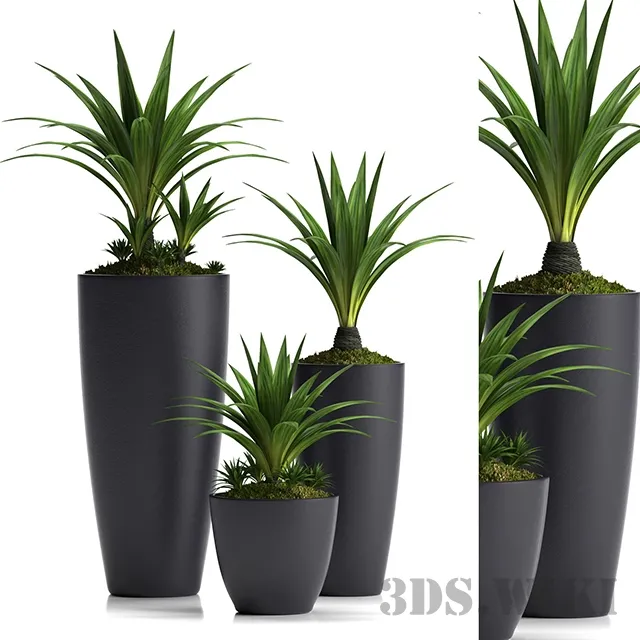 decoration – Set of plants with pots 3D Model