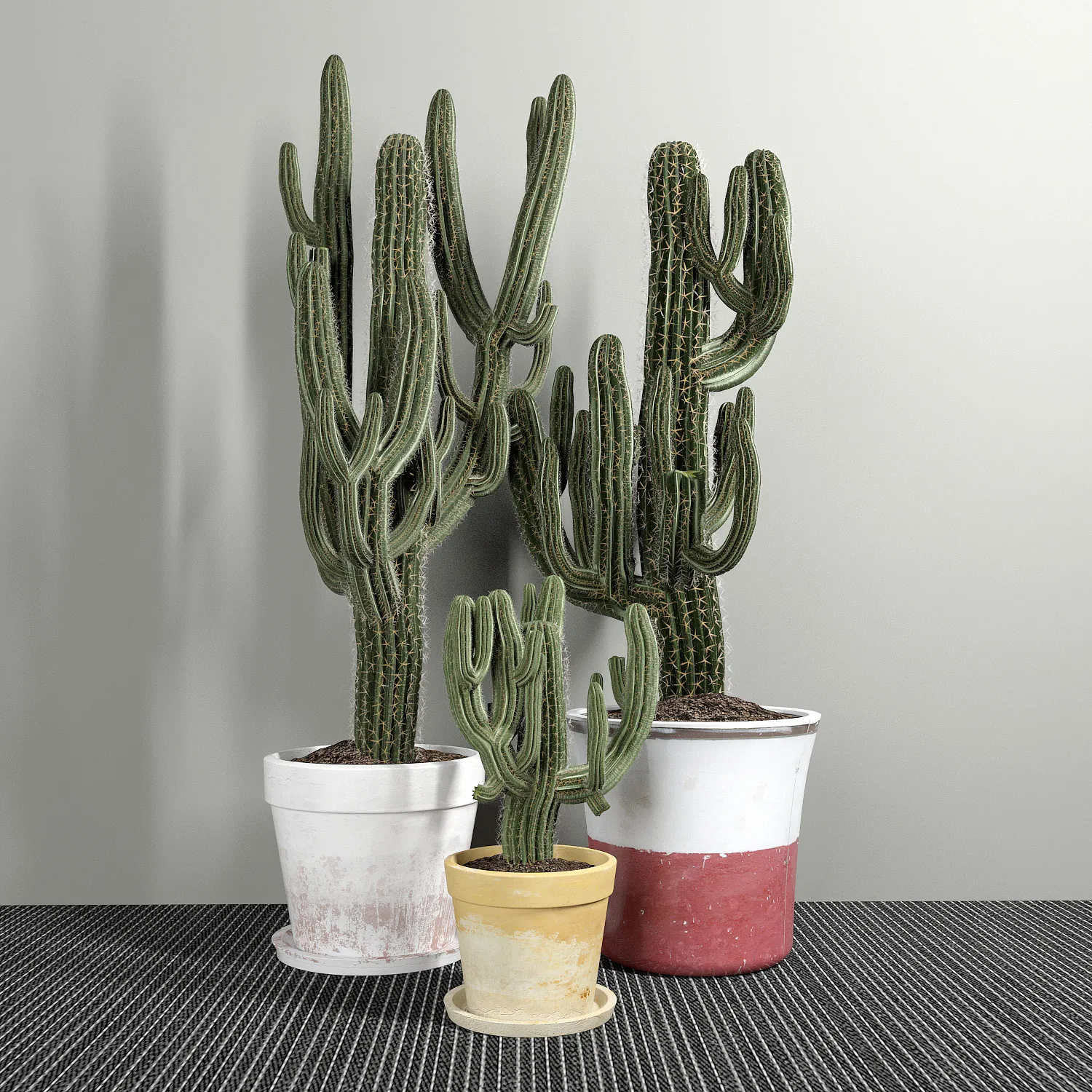 decoration – Set of three cactuses 09 3D Model