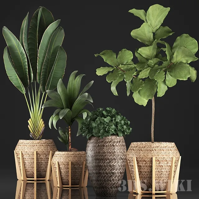 decoration – SET PLANT POT 17072019 3D Model decoration – SET PLANT POT 17072019 3D Model