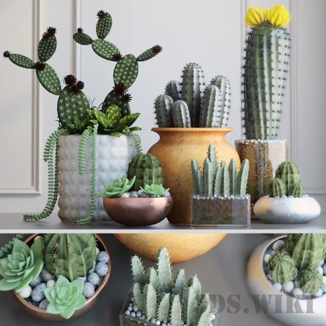 decoration – Set with Cactuses 3D Model