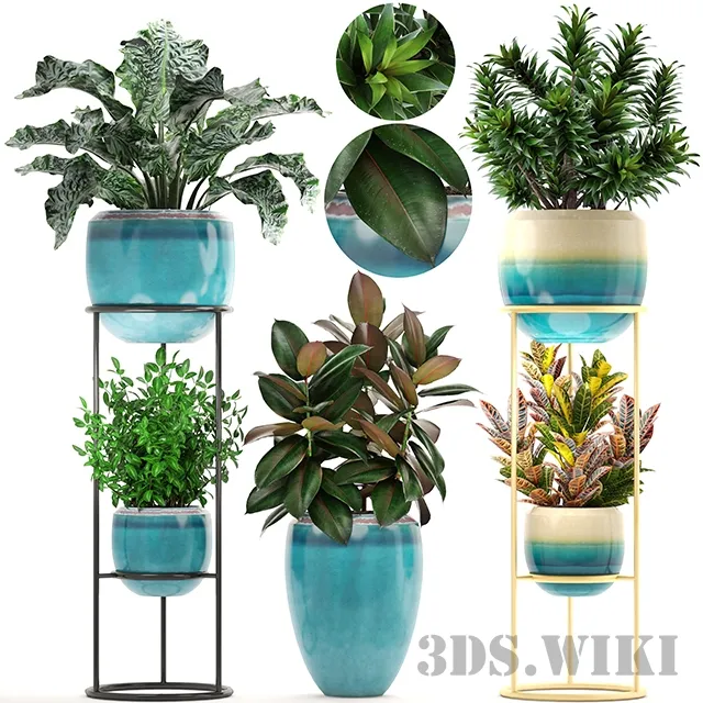 decoration – Set with croton 3D Model decoration – Set with croton 3D Model