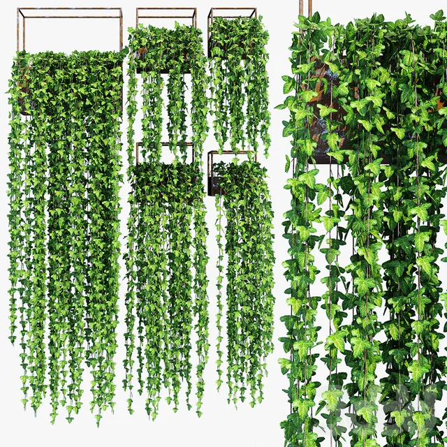 decoration – Shelves of plants 9 3D Model