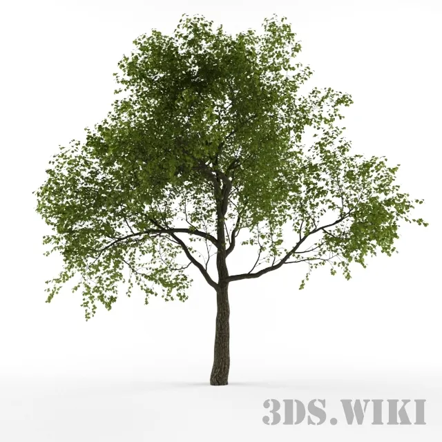 decoration – Simple decorative tree 3D Model