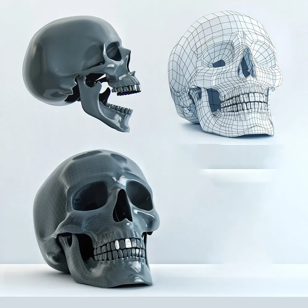 decoration – Skull model 3D Model