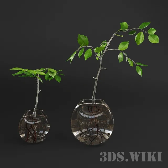 decoration – Small plant in a glass vase 3D Model