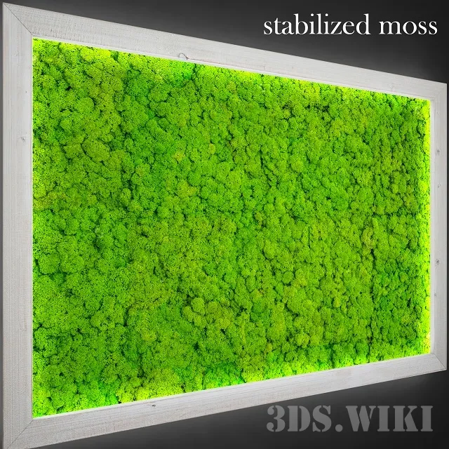 decoration – Stabilized moss for decoration 3D Model