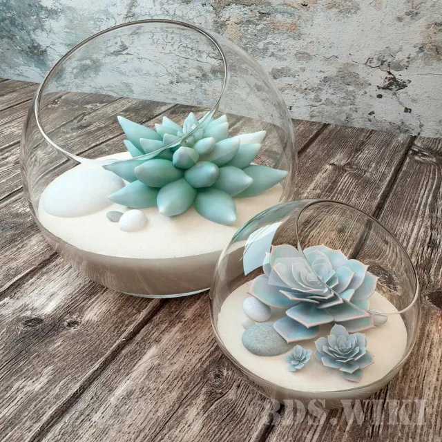decoration – Succulents in beautiful round jars 3D Model