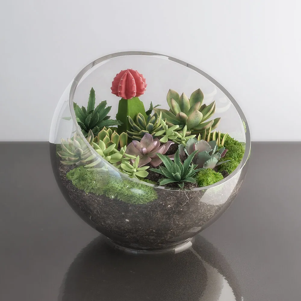 decoration – Succulents in glass bowl 3D Model