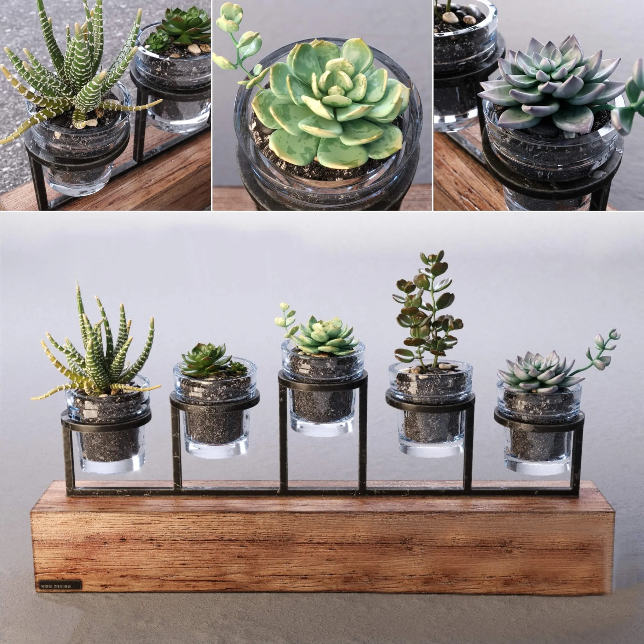 decoration – Succulents set 3D Model decoration – Succulents set 3D Model