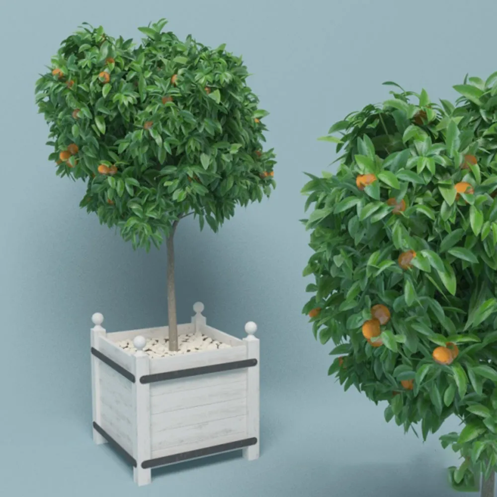 decoration – Tangerine tree 3D Model