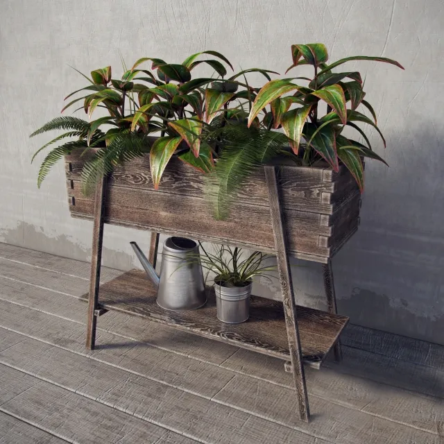 decoration – Terrace plants 3D Model