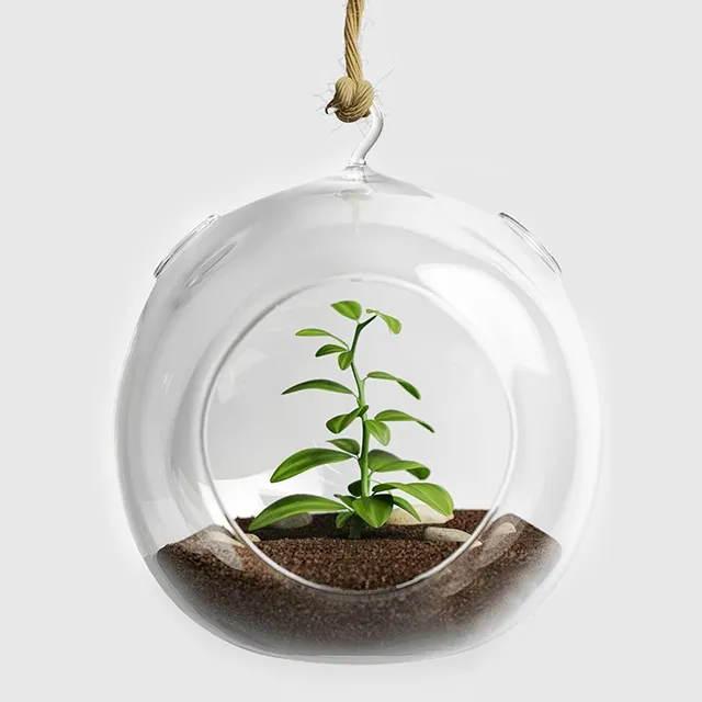 decoration – Terrarium for herbs 3D Model decoration – Terrarium for herbs 3D Model