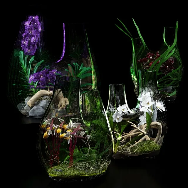 decoration – Terrarium vases with Orchids 3D Model decoration – Terrarium vases with Orchids 3D Model