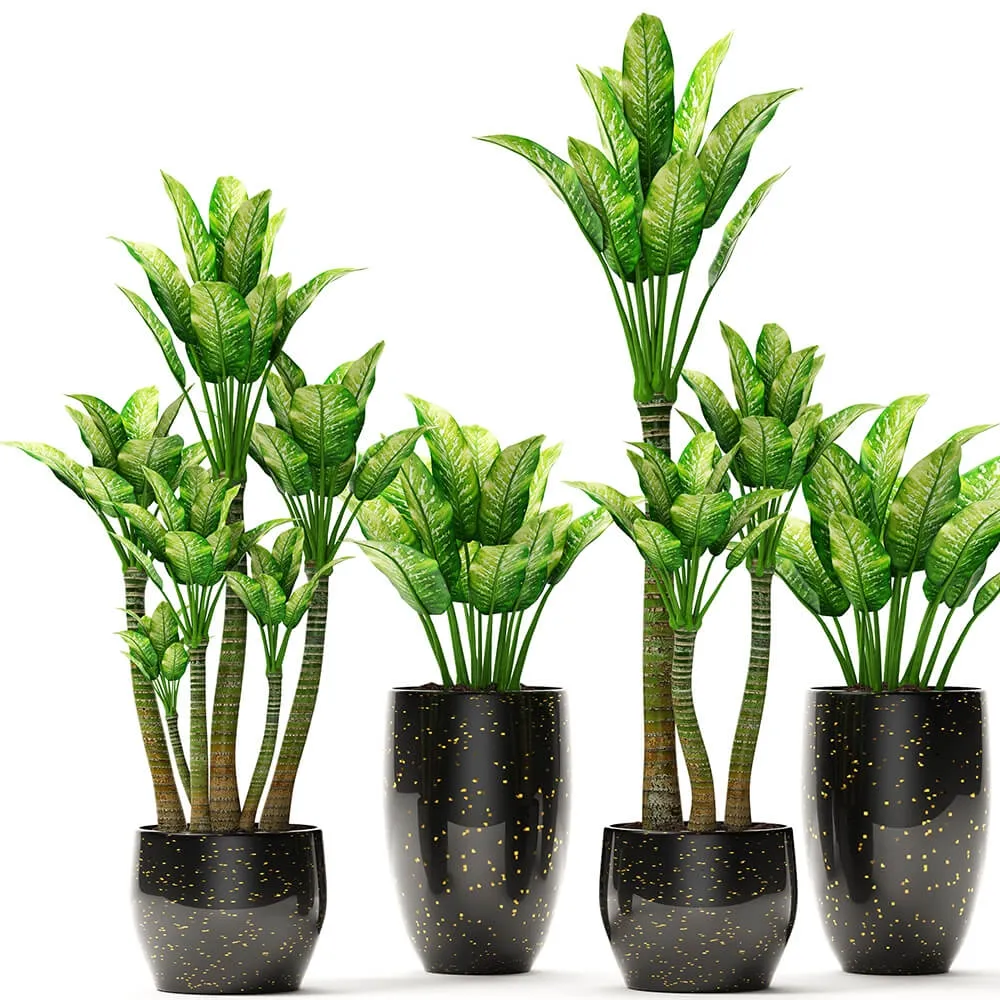 decoration – The collection of plants in pots 12 3D Model decoration – The collection of plants in pots 12 3D Model